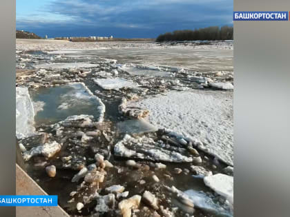 Река вскрылась: в Уфе на Белой начался ледоход