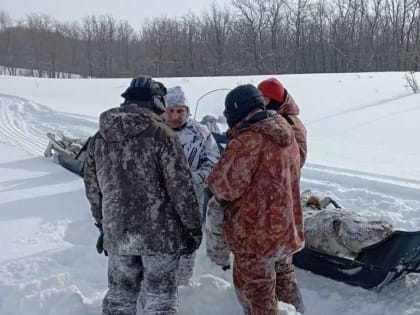 В Башкирии браконьеры убили 3 лосей