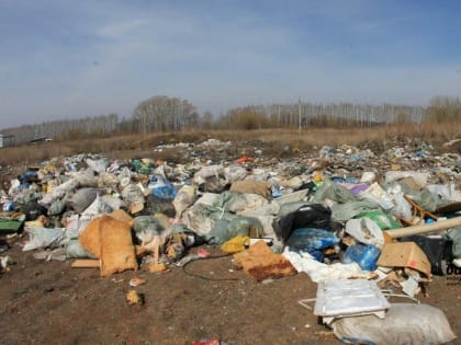 В Башкирии ликвидировано более половины всех несанкционированных свалок