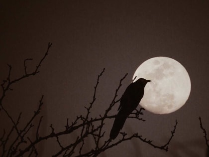 Какой сегодня лунный день 10 августа 2022 года