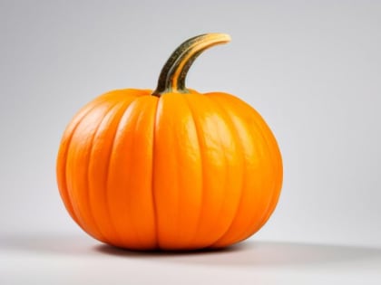 Дыня даже рядом не стоит: за этой тыквой охотятся все садоводы — очень большая сладкая