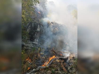 В Башкирии вспыхнули два лесных пожара