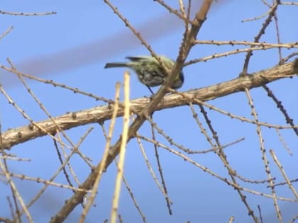 В Башкирии, 22 апреля 2023 года, прогнозируются дожди и ветер