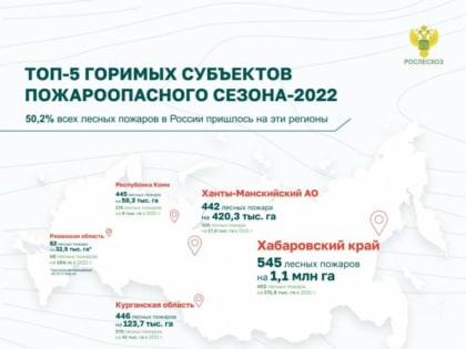 В Башкирии видеокамеры будут следить за лесами