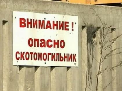 В районах Башкирии обнаружены пять незаконных скотомогильников