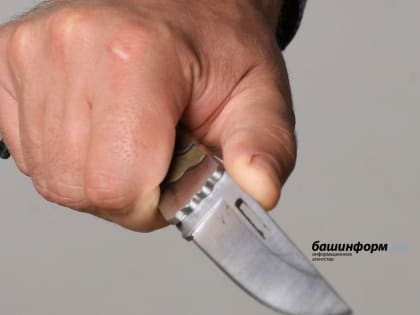 В Башкирии житель Сибая обвиняется в жестоком двойном убийстве двух женщин