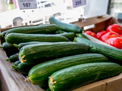 В Башкирии за год объем валовой продукции превысил 225 млрд рублей