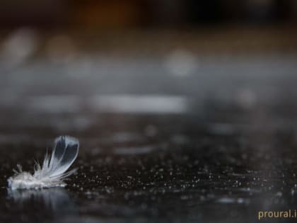В Башкирии зарядили дожди