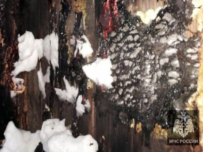 В Нефтекамске в огне погибла домашняя птица