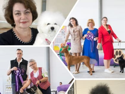 В Нефтекамске состоялись сразу три собачьи выставки