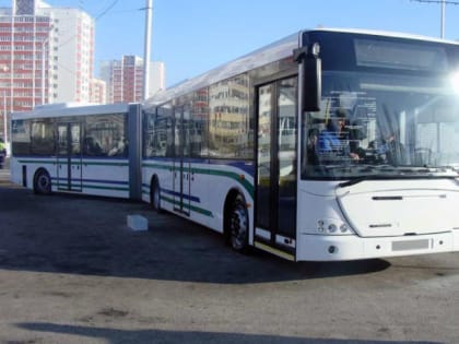 Жители Уфы потребовали изменить стоимость проезда