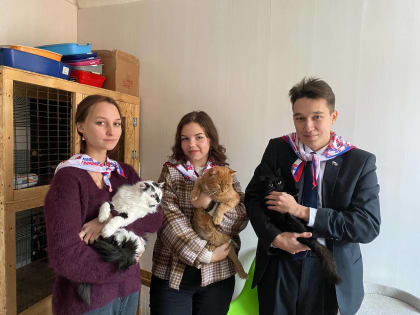 Молодогвардейцы Уфы посетили место временного размещения животных «Котейкин дом»