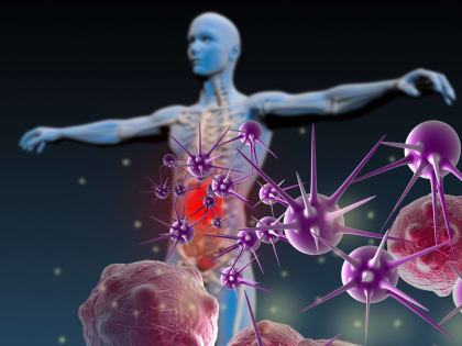 Загадки иммунитета