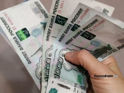 Бюджет Башкирии в 2022 году предоставит организациям и бизнесу 160 видов субсидий