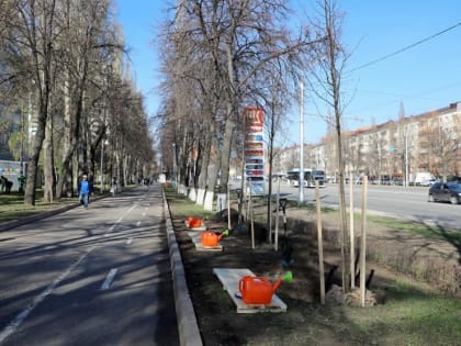 4 метра над уровнем почвы