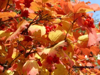 В Башкирии установится теплая погода, на 1-2 градуса выше нормы