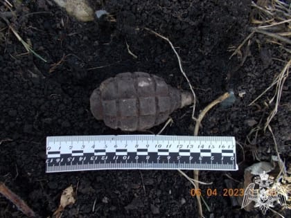 Житель Башкирии нашел в огороде боевую гранату