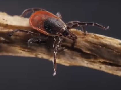 Роспотребнадзор сообщает о новых мерах безопасности