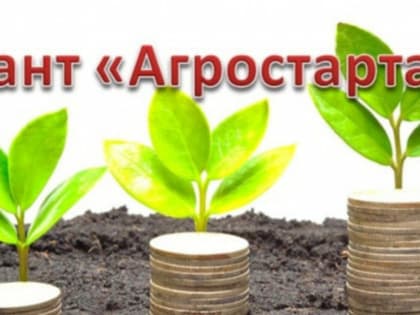 В Башкирии начали прием заявок на стартапы для начинающих фермеров