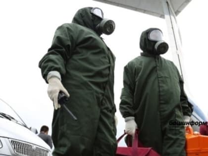 В управлении ветеринарии Башкирии рассказали, чем закончился укус лисы для собаки и ее хозяина
