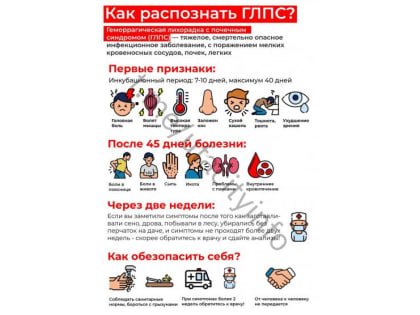 Как не подхватить «мышиную лихорадку»?