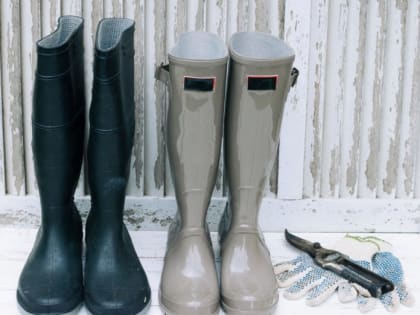 Хитрые дачники всегда оставляют в&nbsp;огороде резиновый сапог: от вредителей и след простынет