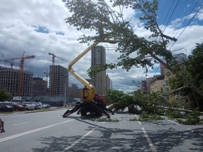 В Уфе ветром сломало три дерева