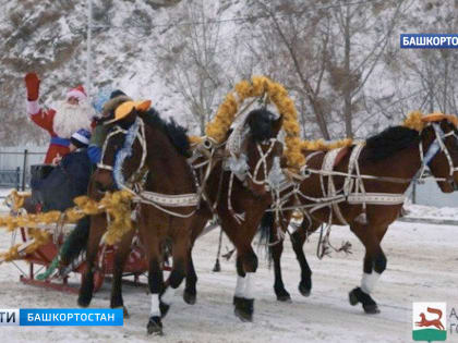 Уфимцев приглашают принять участие в Параде конно-санных экипажей