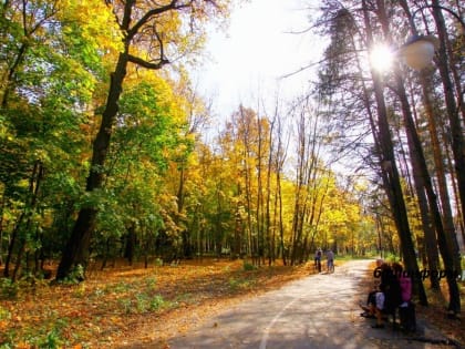Синоптики прогнозируют потепление до + 15 °C в Башкирии