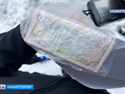 В Башкирии задержали троих сбытчиков фальшивых долларовых купюр