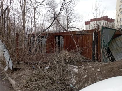 Крысы, бомжи и бродячие собаки: уфимцы попросили привести в порядок заброшенный участок