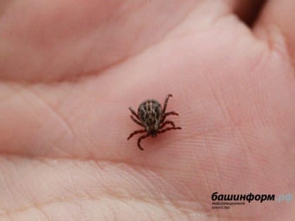 В Башкирии инфицированность вирусом клещевого энцефалита выросла более чем в 2 раза