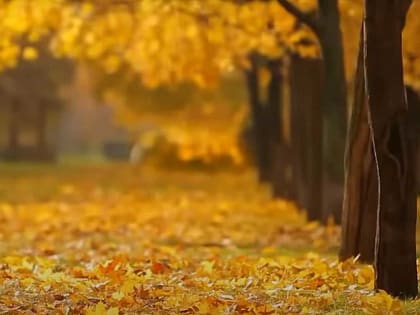 В Башкирии температура воздуха упадет до 0°