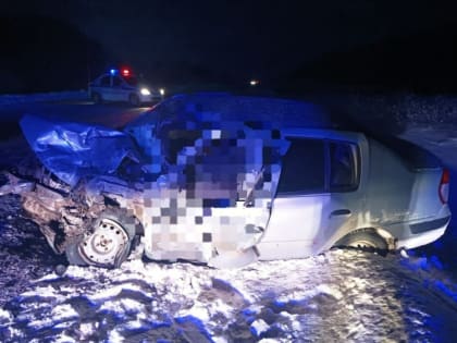 В Башкирии  на трассе  Давлеканово-Толбазы в дорожной аварии  погибли два человека