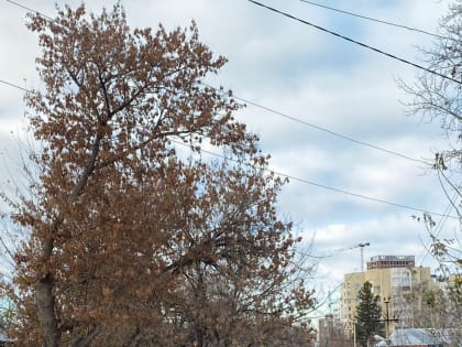 Сегодня в Уфе состоялся массовый крестный ход