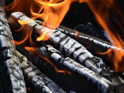 В Башкирии ликвидированы три лесных пожара