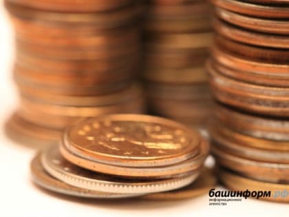 В Башкирии в четвертый раз скорректировали бюджет