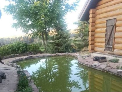 В Башкирии в пруду во дворе дома чуть не утонул ребенок