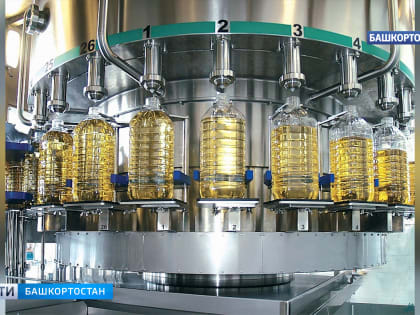 Экспортеры продукции АПК Башкирии смогут получить льготные кредиты