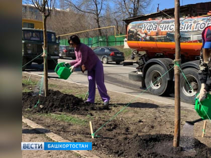 В рамках акции «Зеленая Башкирия» за день в Уфе высадили 1300 деревьев