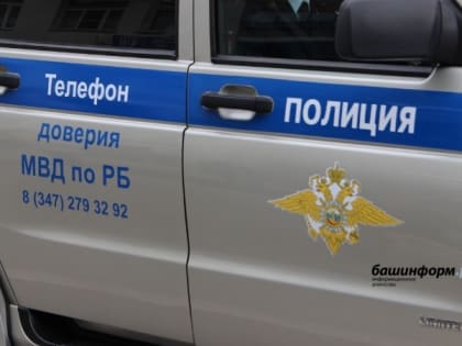 Под Уфой полиция проводит проверку по факту избиения девушки экс-сотрудником ГИБДД