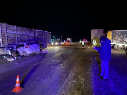 Следственное управление ходатайствует о передаче из органов внутренних дел материалов дела по факту ДТП в Салаватском районе, в котором погибли трое человек, в том числе один подро