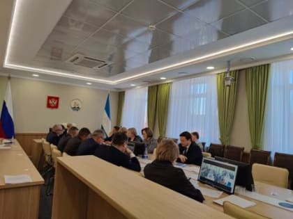 Участие в заседании Комитета по бюджетной, налоговой, инвестиционной политике и имущественным отношениям