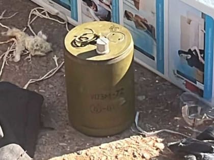 Жители Башкирии нашли мину на мусорной площадке