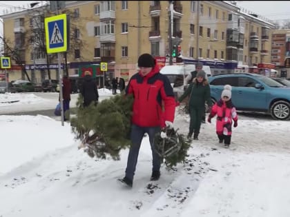 В Уфе пройдет акция «Елки в щепки»