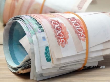 В Башкирии утвержден порядок субсидирования затрат системообразующих компаний на импорт