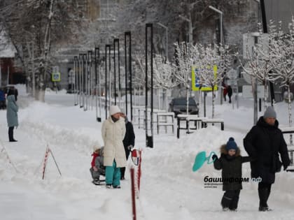 В ОПФР по Башкирии рассказали, как будет выплачиваться единое пособие 