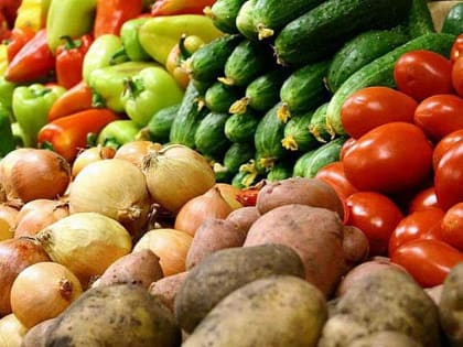 В Башкирии усилят поддержку овощеводства