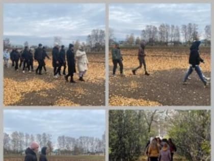 Всероссийский чемпионат по фоновой ходьбе «Человек идущий»