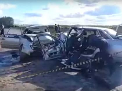 В Башкирии вынесен приговор виновнику смертельного ДТП в Шаранском районе